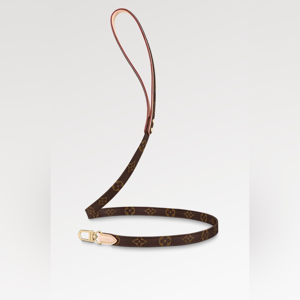 Louis Vuitton | Leash MM